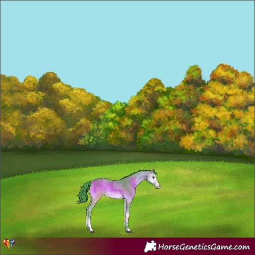 Horse Color:Watercolor Buckskin Onyx Sabino 