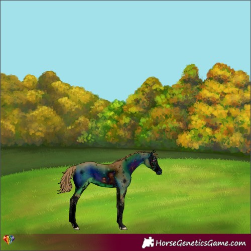 Horse Color:ERROR: UNKNOWN ANOMALY
