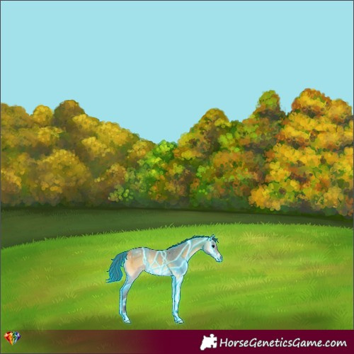 Horse Color:Thunderstruck Buckskin Onyx 