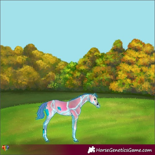 Horse Color:Thunderstruck Watercolor Chocolate Buckskin Onyx Sabino 