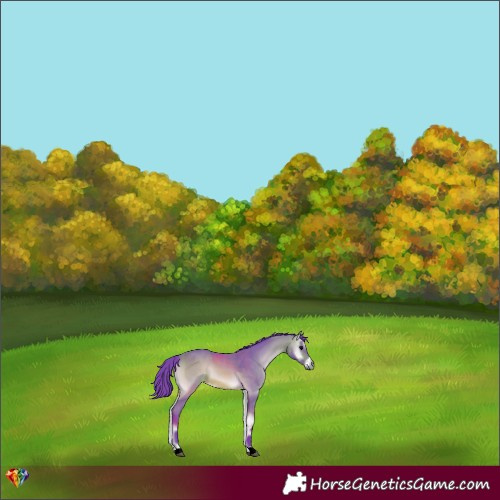 Horse Color:Watercolor Bay Onyx 