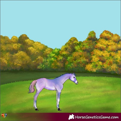 Horse Color:Watercolor Chocolate Bay Onyx 