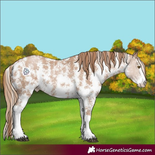 Horse Color:Black Pearl Sabino 