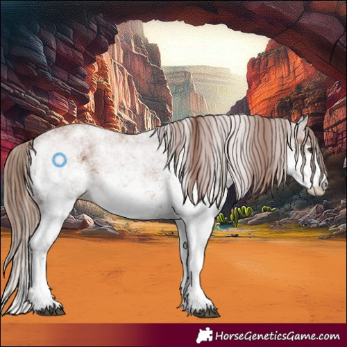 Horse Color:White Spotted Chestnut