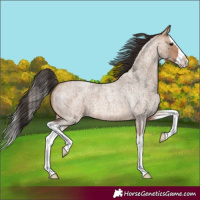 Horse Color:Bay Roan Dun Splash
