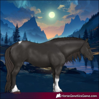 Horse Color:Liver Chestnut Tobiano 