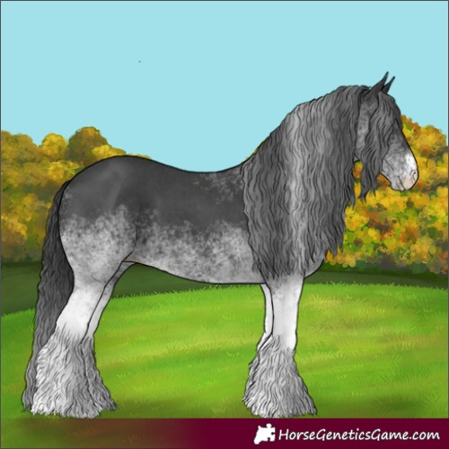 Horse Color:White Spotted Black 