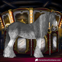 Horse Color:White Spotted Black 