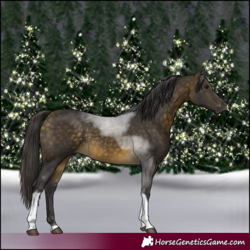 Horse Color:Buckskin Tobiano 