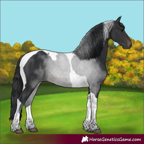 Horse Color:Brown Tobiano