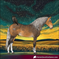 Horse Color:White Spotted Silver Buckskin
