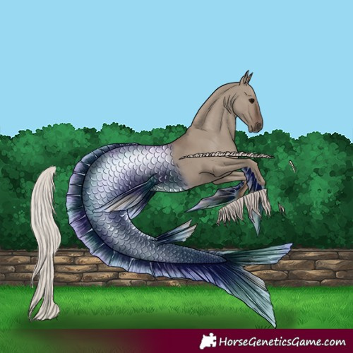 Horse Color:Silver Grullo 
