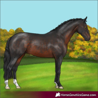 Horse Color:Brown 