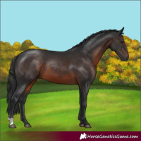 Horse Color:Brown 