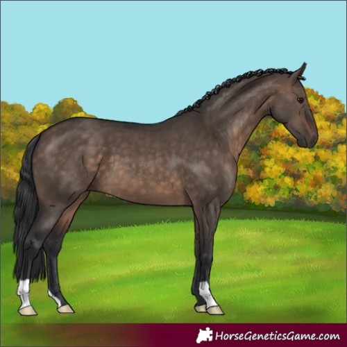 Horse Color:Brown Dun