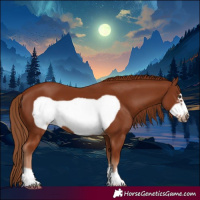 Horse Color:Chestnut Frame