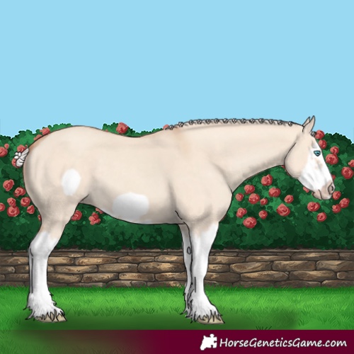 Horse Color:Silver Classic Champagne Dun Splash Frame 