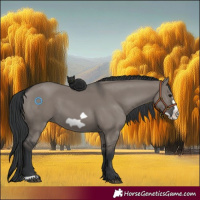 Horse Color:Grullo Frame