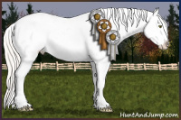 Horse Color:Silver Amber Champagne Near Leopard