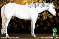 Horse Color:Buckskin Roan Dun Varnish 
