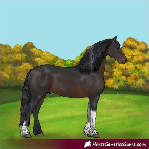 Horse Color:Brown Tobiano 