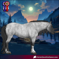 Horse Color:Blue Roan Tobiano 