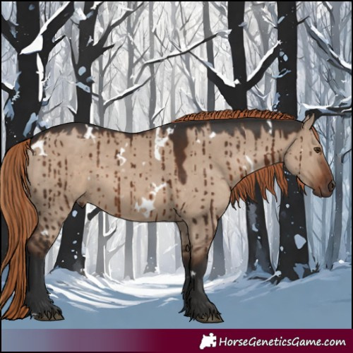 Horse Color:White Spotted Liver Red Dun Brindle 