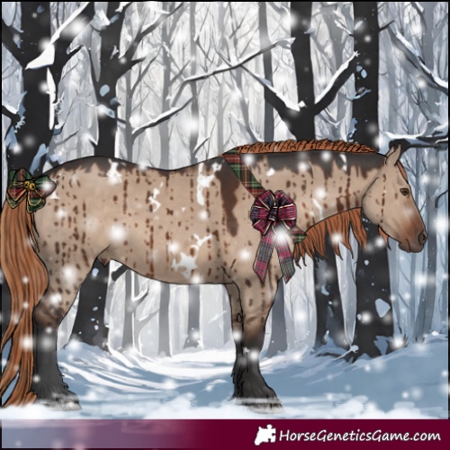 Horse Color:White Spotted Liver Red Dun Brindle 