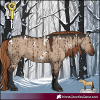 Horse Color:White Spotted Liver Red Dun Brindle 