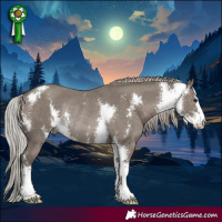 Horse Color:Silver Grullo Sabino Rabicano