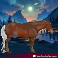 Horse Color:Silver Bay 