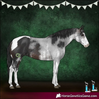 Horse Color:White Spotted Brown Tobiano Rabicano