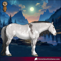 Horse Color:Platinum White Spotted Brown Dun Sabino Splash Rabicano