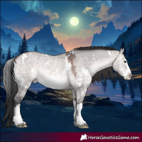 Horse Color:Platinum White Spotted Brown Dun Sabino Splash Rabicano 