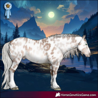 Horse Color:Gray White Spotted Silver Amber Champagne Roan Splash Frame Appaloosa Rabicano 