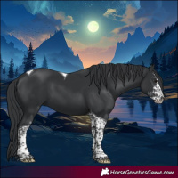 Horse Color:Black Sabino Tobiano