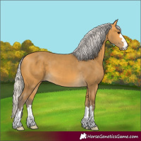 Horse Color:Silver Buckskin 