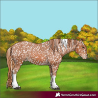 Horse Color:Chestnut Tobiano Snowflake Varnish