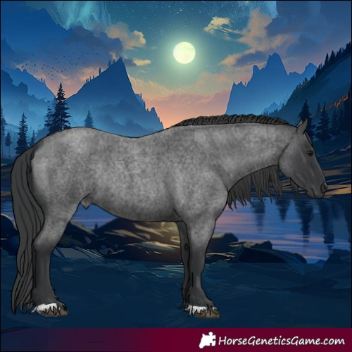 Horse Color:Blue Roan Rabicano 