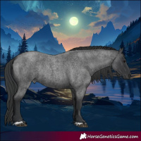 Horse Color:Blue Roan Rabicano 