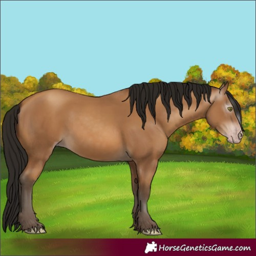 Horse Color:Gray Amber Champagne 