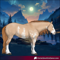 Horse Color:Red Dun Sabino Splash Rabicano