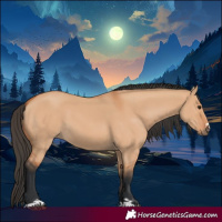Horse Color:Bay Dun 