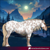 Horse Color:Red Roan Near Leopard 
