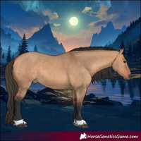 Horse Color:Bay Dun
