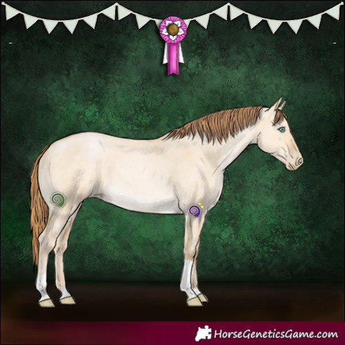 Horse Color:Buckskin Pearl Dun Tobiano 