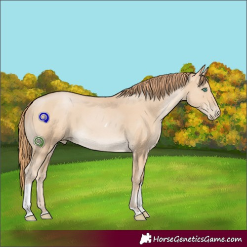 Horse Color:Smoky Black Pearl Tobiano 