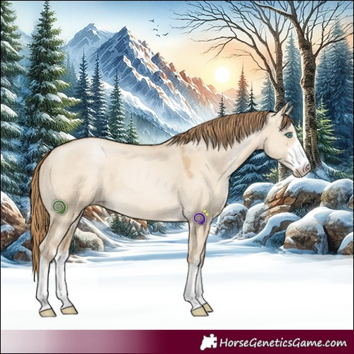 Horse Color:White Spotted Smoky Grullo Pearl