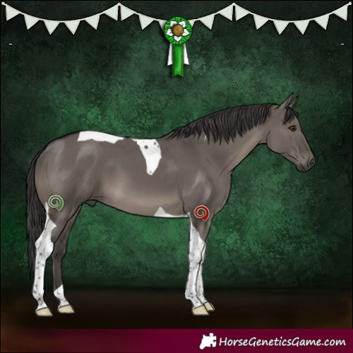 Horse Color:Smoky Grullo Tobiano 