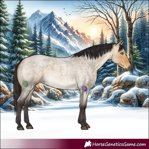 Horse Color:Buckskin Roan Dun